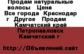 Продам натуральные волосы › Цена ­ 3 000 - Все города, Краснодар г. Другое » Продам   . Камчатский край,Петропавловск-Камчатский г.